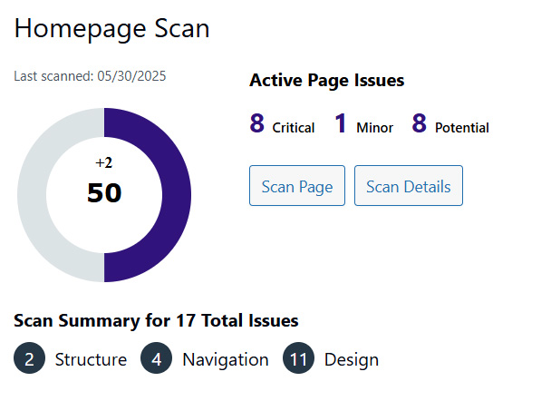 Screenshot of Insi page scan metrics.